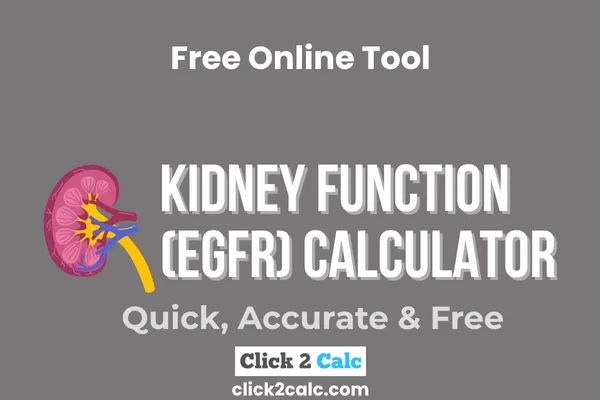 Kidney Function (eGFR) Calculator